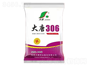 ����306-��������-������ҵ