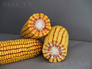 DF41-��������-�Ǻ�������ҵ