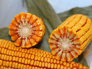 ����718-��������-�Ǻ�������ҵ