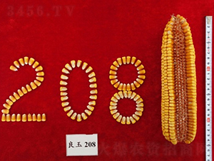 ����208-��������-�Ǻ�������ҵ