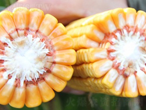 ����188-��������-�Ǻ�������ҵ