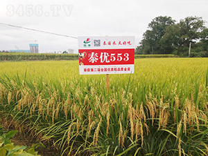 ̩��553-ˮ������-����ҵ