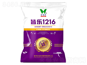 ����1216-��������-��������ҵ