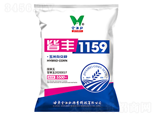 �Է�1159-��������-��������ҵ