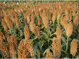 ����22��-��������-�ط���ҵ