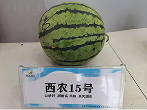 ��ũ15��-��������-�ط���ҵ