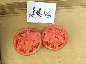 �߿�����10��-��������-�ط���ҵ