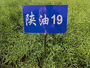 ����19-�Ͳ�����-�ط���ҵ