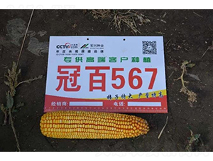 �ڰ�567-��������-�ط���ҵ