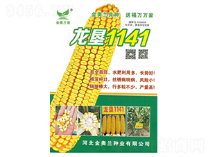 ����1141-��������-�ط���ҵ