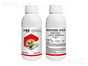 20%�ȳ汽�������������������-����ŵ-�����