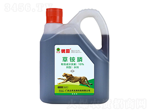 10%���좣�ĸҺ���գ�-����-�㶫��ũ