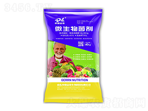 ΢�������40kg-�е���ũ