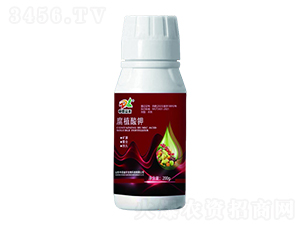 200g��ֲ���-�е���ũ