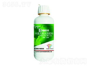 �Ǵ���1000ml-����-�е���ũ