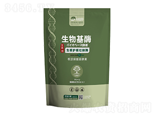 ��������׳��ø500g-��̨��