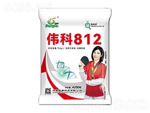 ΰ��812���������ӣ�-�̶���ҵ