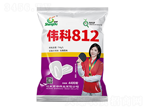ΰ��812-��������-�̶���ҵ