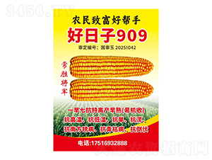 ��������-������909-����ũҵ