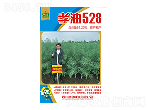Т��528-������ҵ