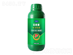 M-�յ���-�����1000g-������