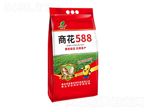 �̻�588-����ũó
