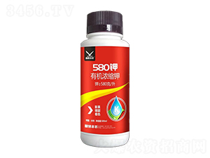 580��-������¡