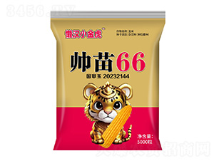 ˧��66��������-����С��-������ҵ