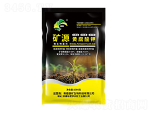 1000g��Դ�Ƹ����-ʢ����-��������