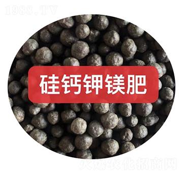 ��Ƽ�þ�ʿ���-��ũũ��