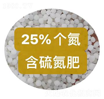 25%���򵪷ʿ���-��ũũ��