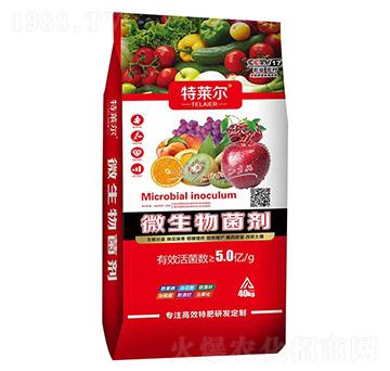 ΢�������40kg-������-��ũ