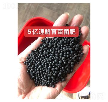 5���ٽ��������--��ũ