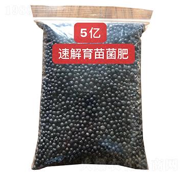 5���ٽ��������-��ũ
