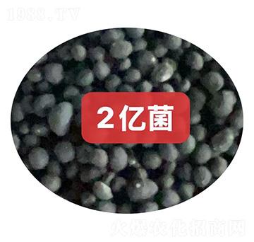 2�ھ�������-������