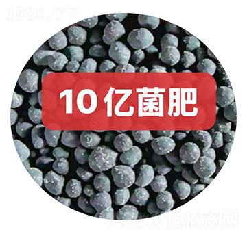 10�ھ��ʿ���-������