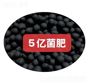 5�ھ��ʿ���-������