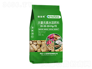 ����Ԫ��ˮ�ܷ���20-20-20+Mg+TE-�̰���-һ������