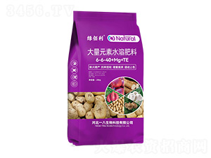 ����Ԫ��ˮ�ܷ���6-6-40+Mg+TE-�̰���-һ������